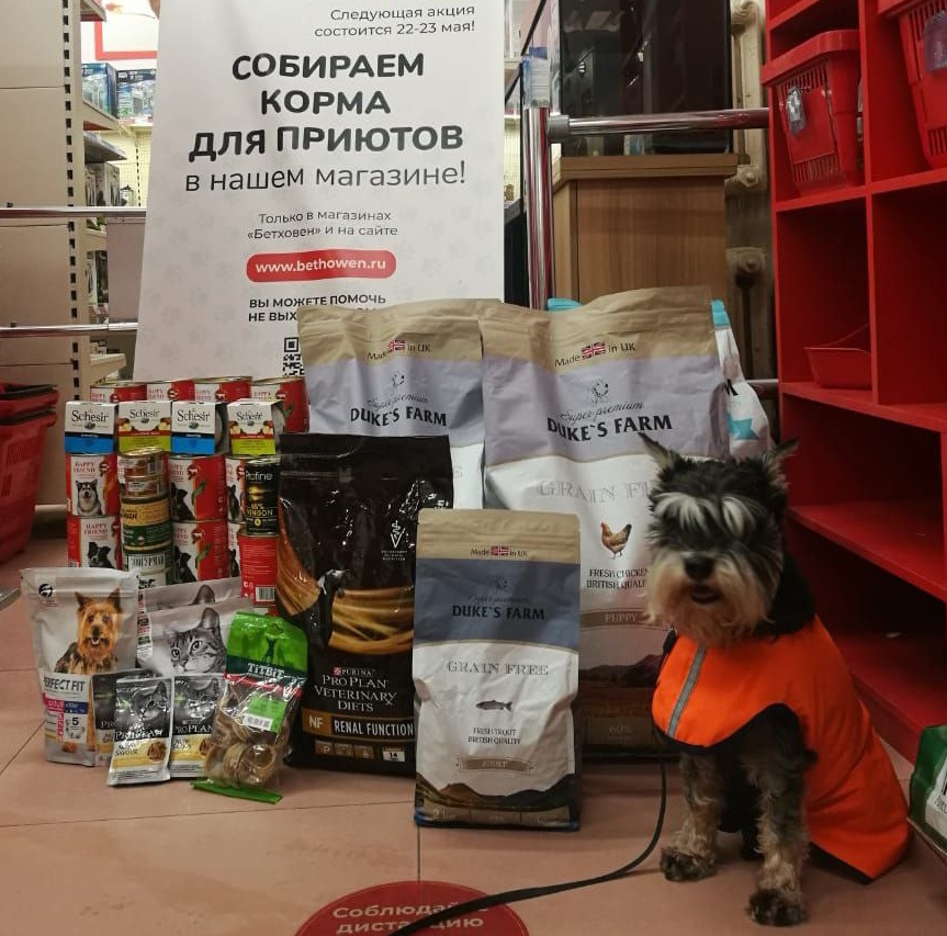 Первый раз это было так