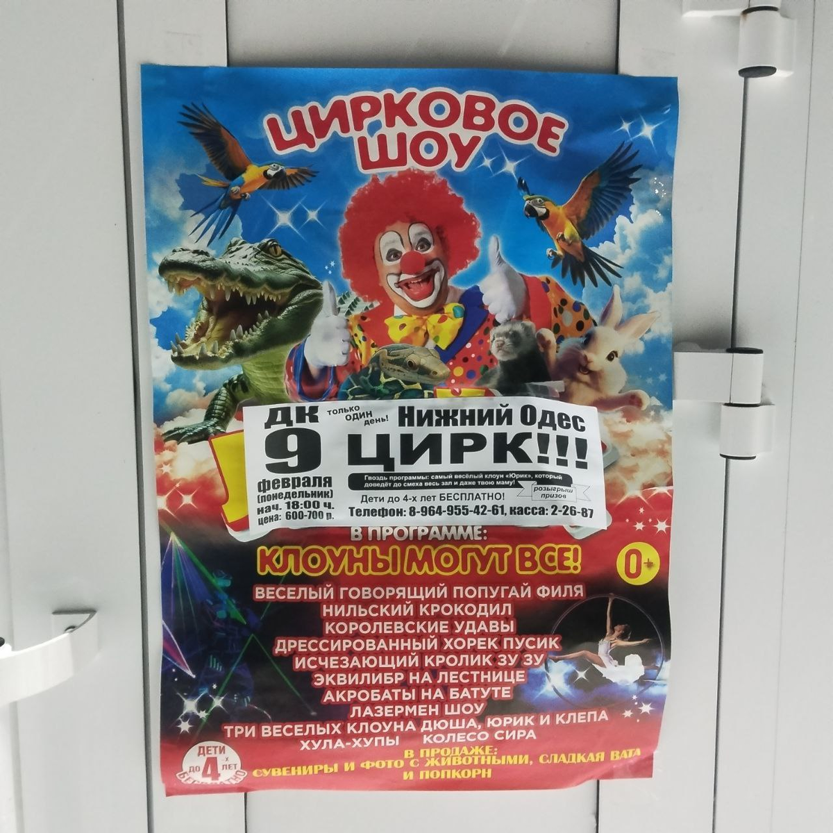 Фото автора