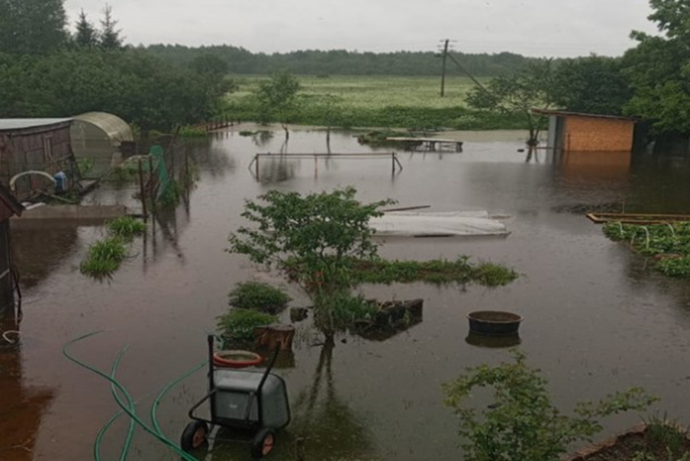 Так выглядели некоторые СНТ и частный сектор в южных и западных районах Ленинградской области в июне 2025 года. 