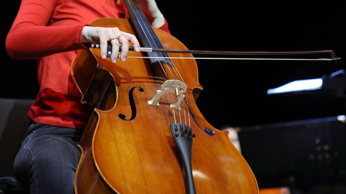    Фото: Андрей Ткачев/«Ямал-Медиа»