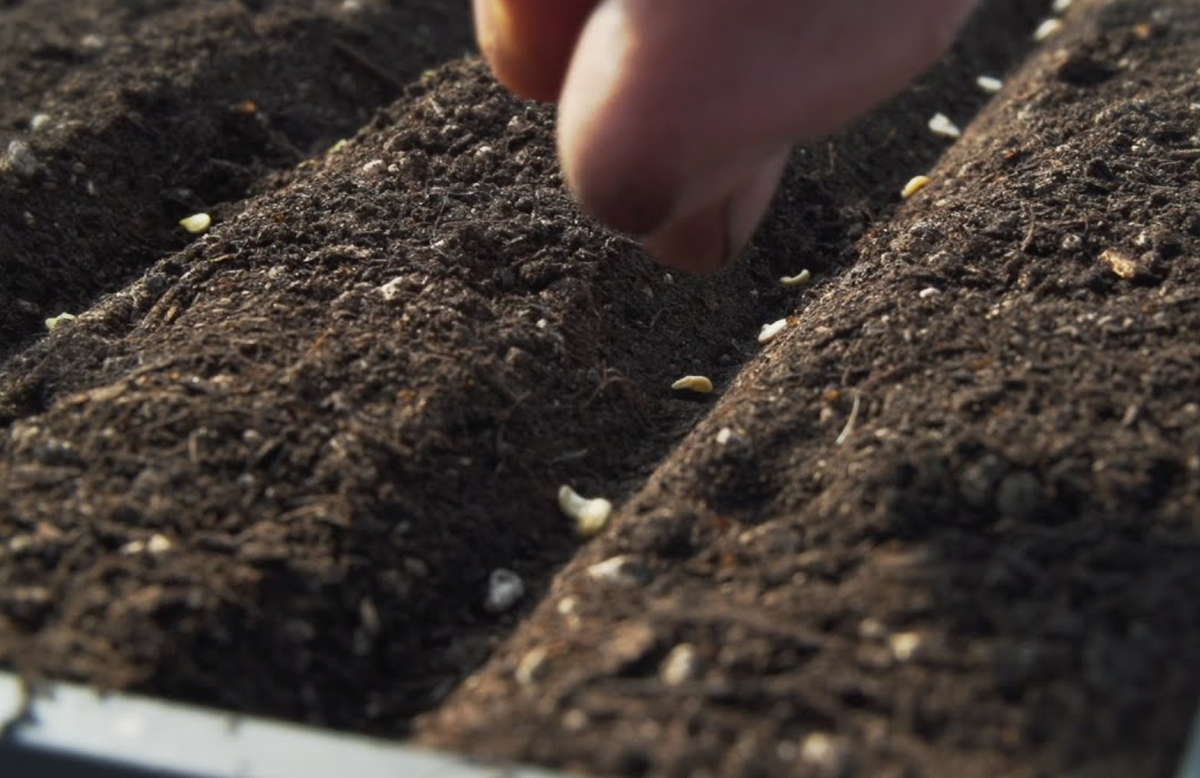 Источник фото: youtube.com