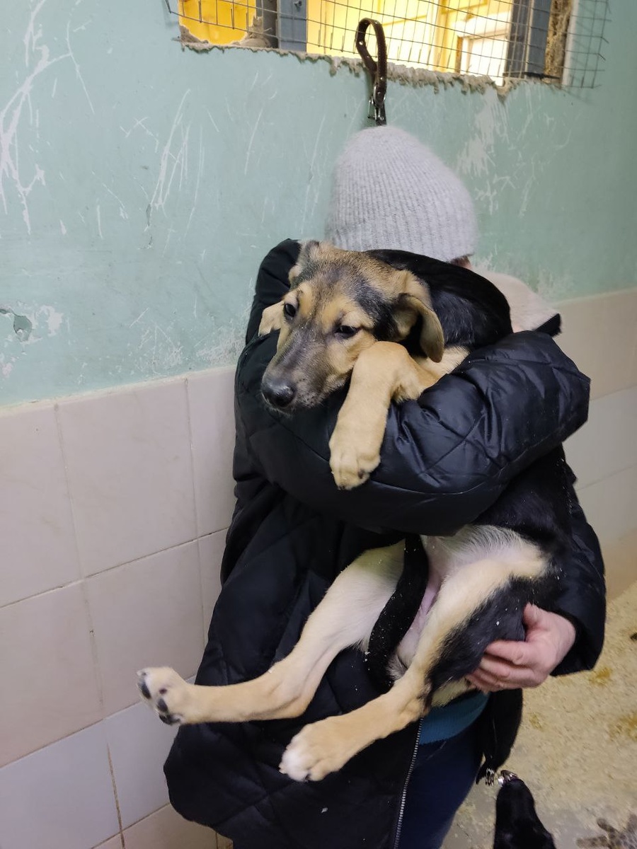 Лариса и щен