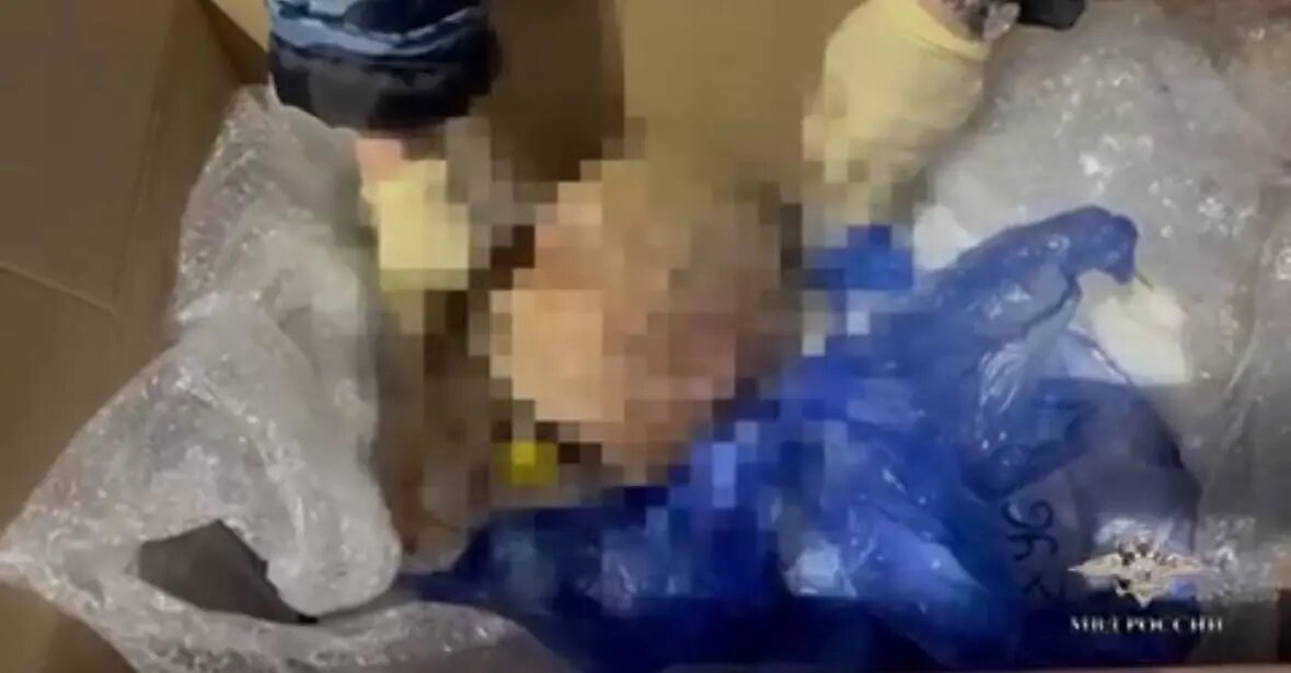    Фото: скриншот видео пресс-службы СК РФ по Петербургу