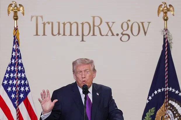    Фото: lenta.ru Дамир Макеев