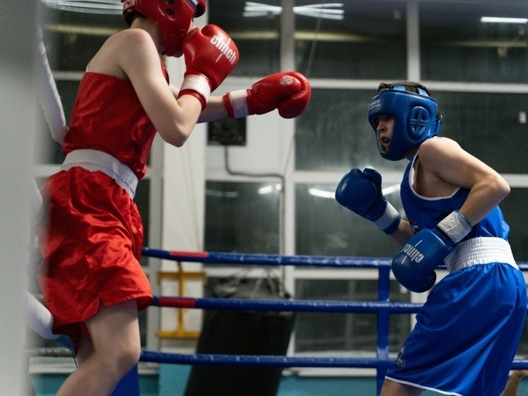     фото Федерации бокса КО