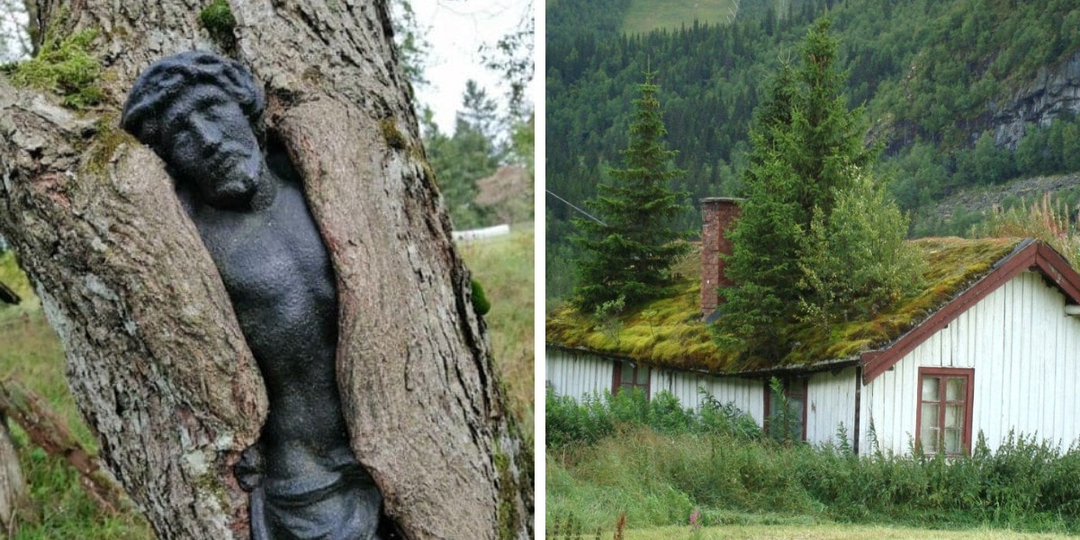 15 случаев, когда природа доказала, что она полноправная хозяйка на планете, и ничто не сможет её остановить