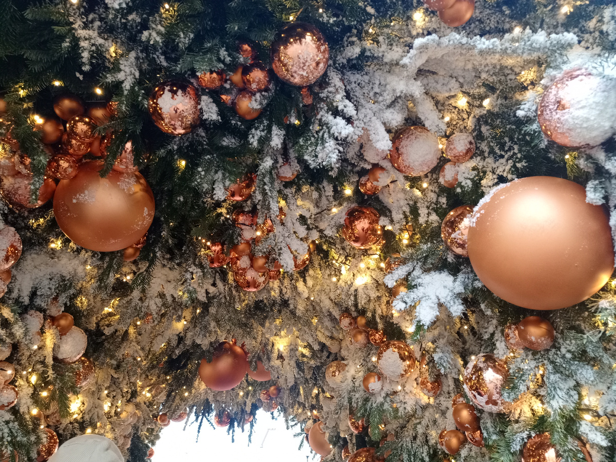 Красота и богачество) на Арбате в этом январе. Фото автора. 