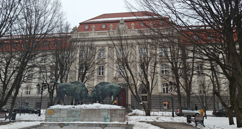    Первый городской канал Калининград