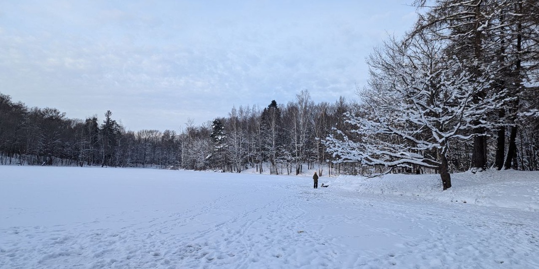 Парк Осиновая роща