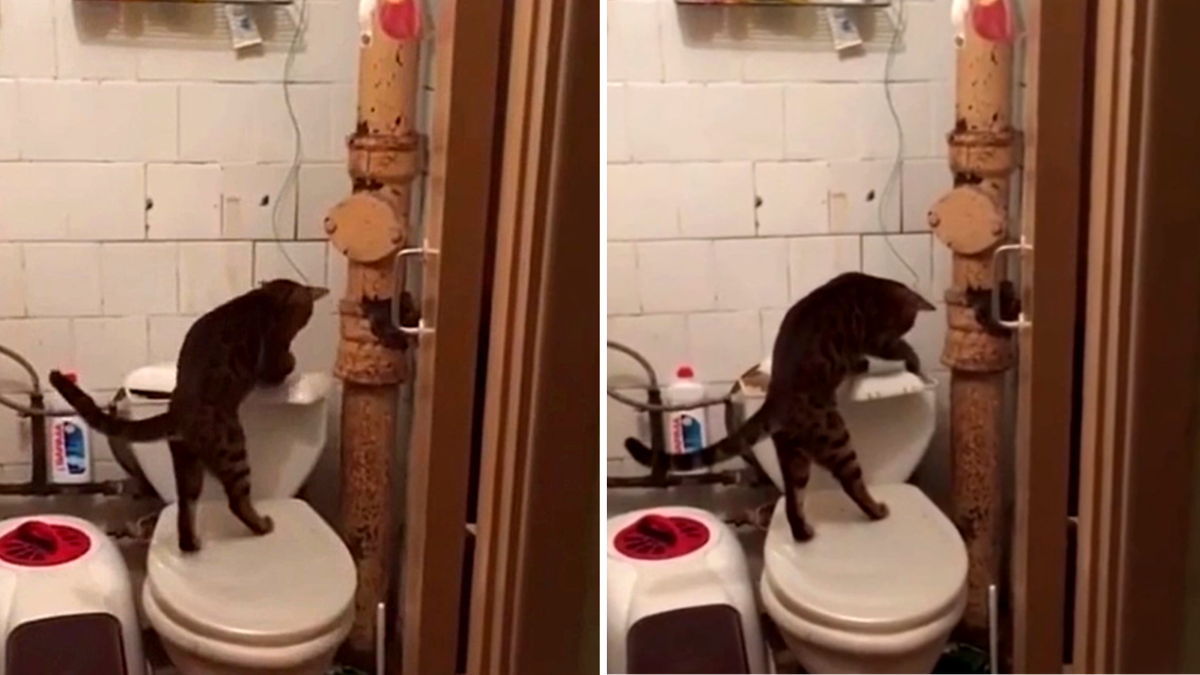 Наташ, ну у тебя тут совсем сифон потёк, ну