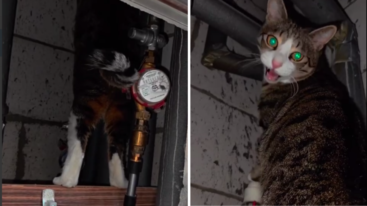 Олег, ну хватит снимать, ключ на 18 неси!