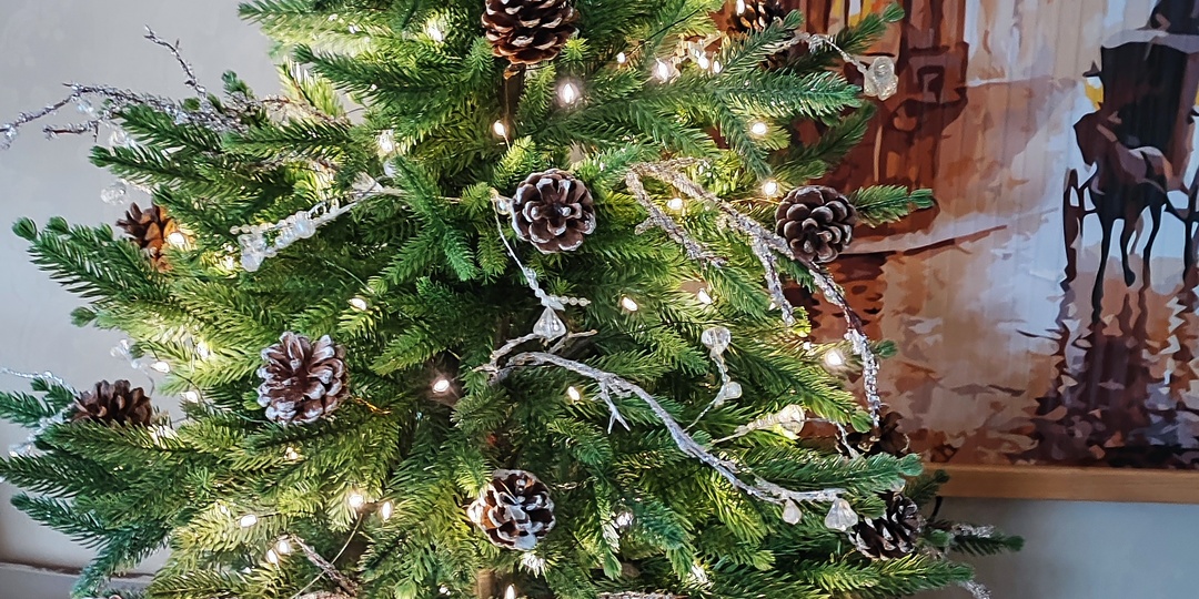 Ждёте весну или наслаждаетесь зимой😉