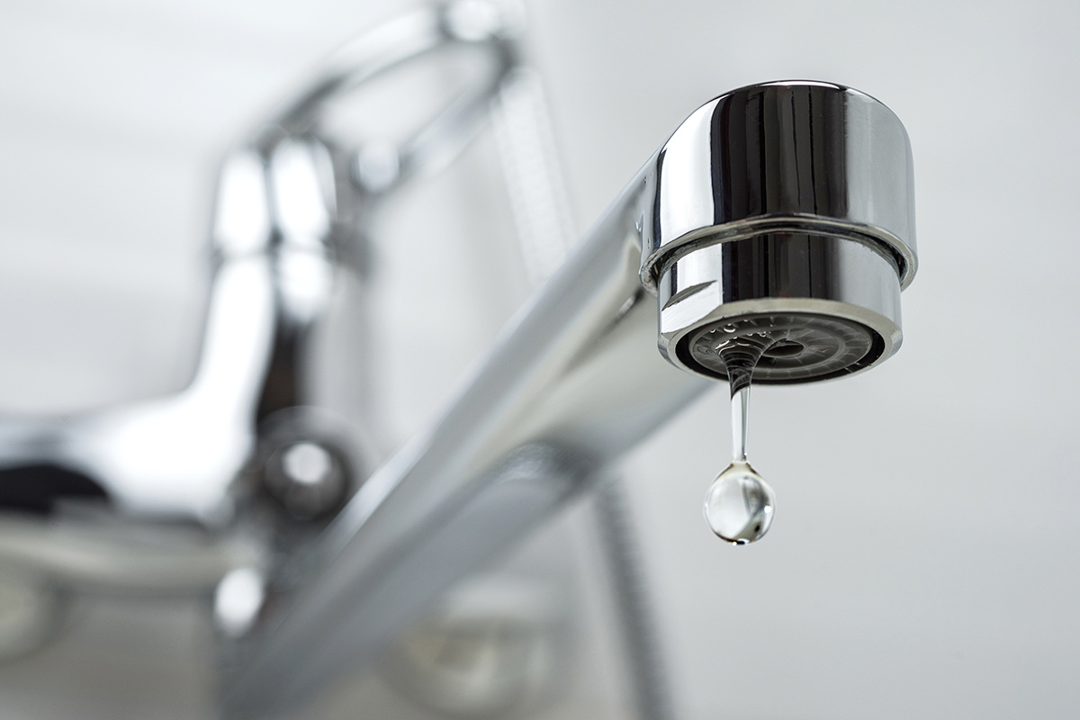    Фото: VladKK / Shutterstock.com