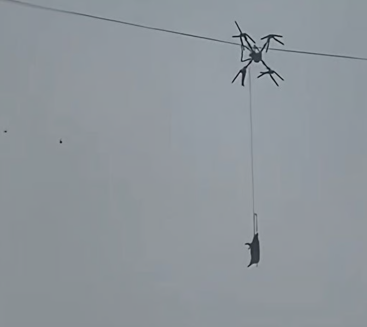 Вот она, Сычуаньская трагедия - и смешно, и грешно