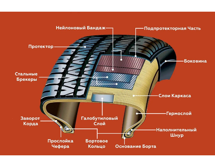 Устройство шины (изображение из открытых источников)