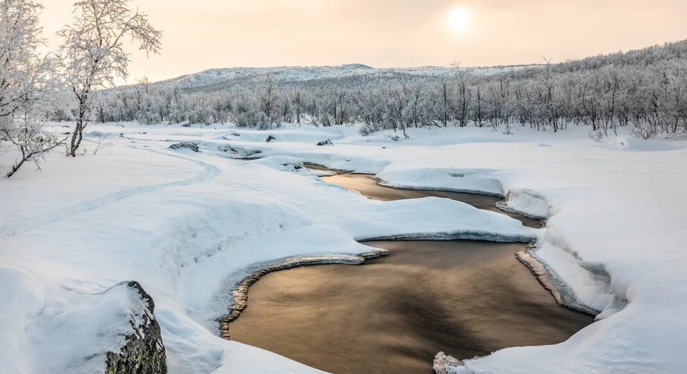 Начался с морозов февраль....
