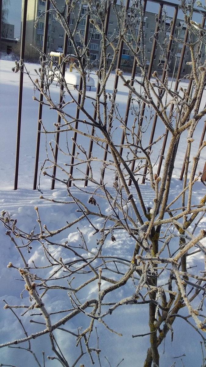 6 февраля 2026 года. Фото автора