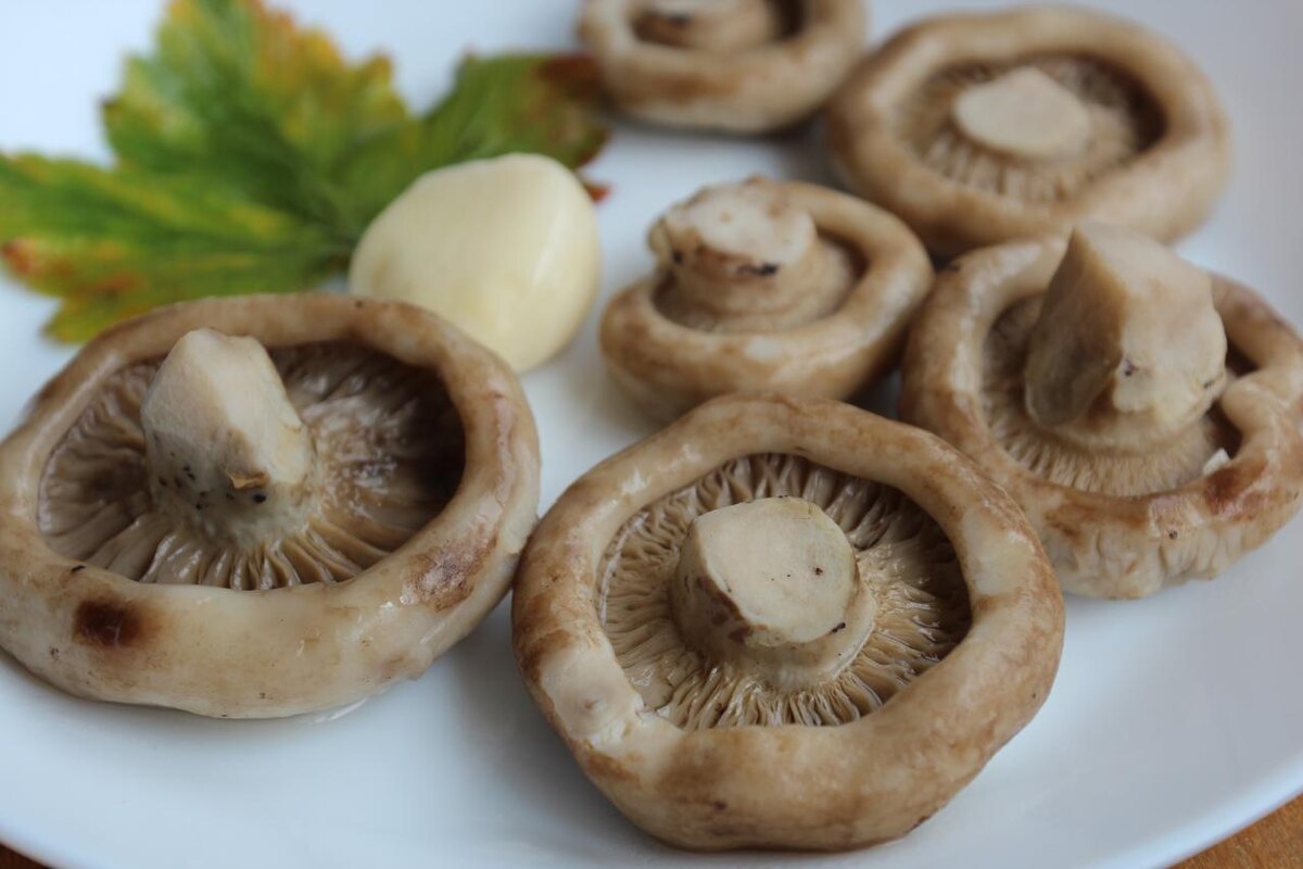    Фаршированные грузди с олениной взорвали мой кулинарный блог