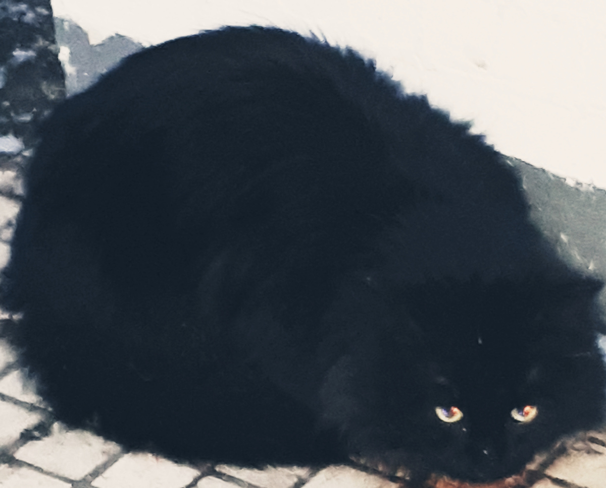 Фото автора 06.02.2026г.