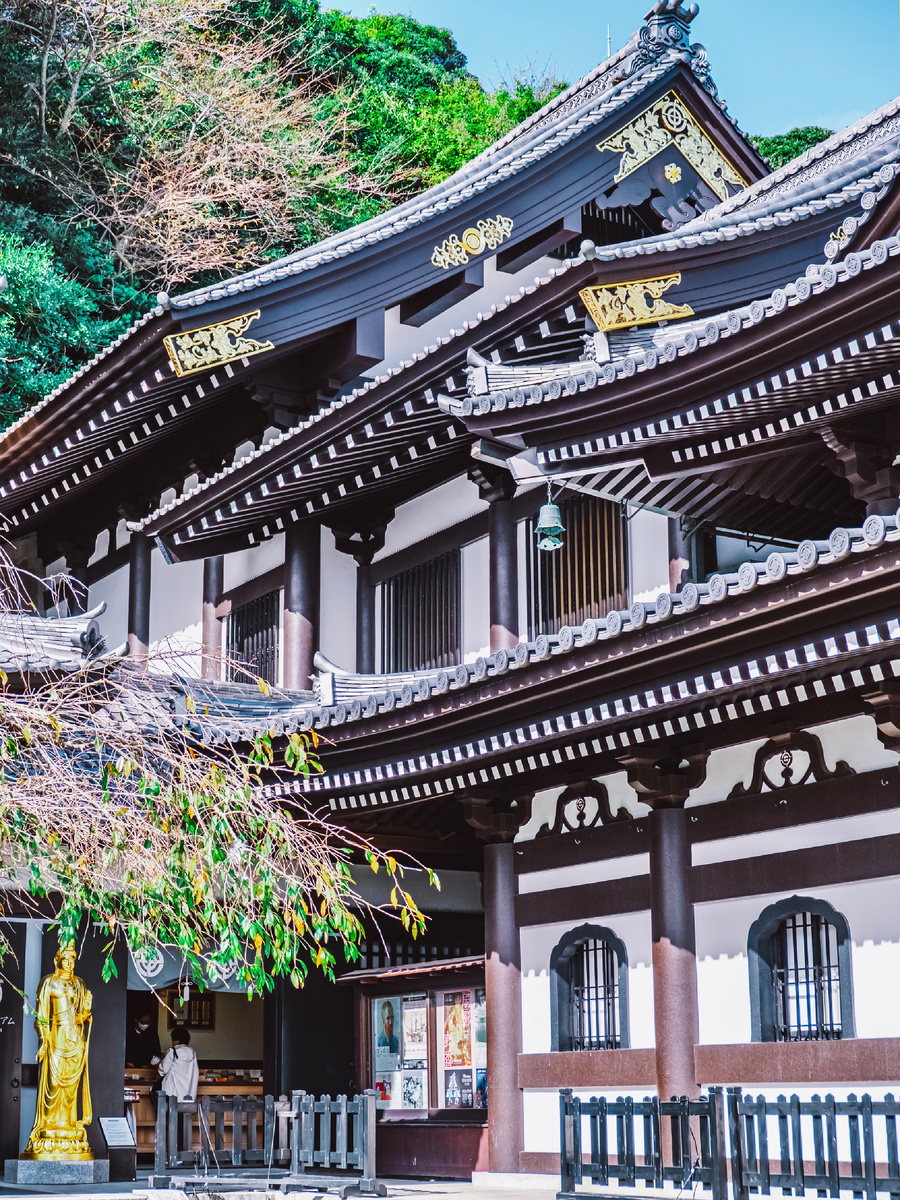 Автор статьи и фото: Алексей Моисеев / Фотозаписки партизана / @partyzzzan