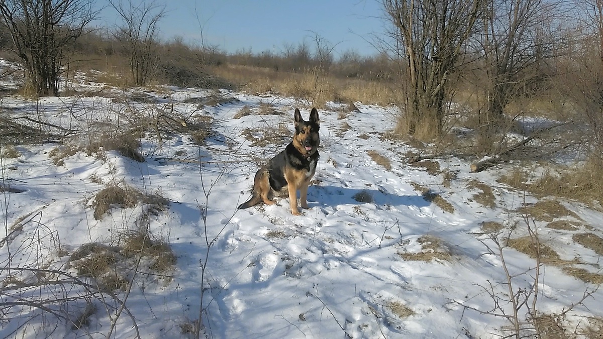 Фото автора