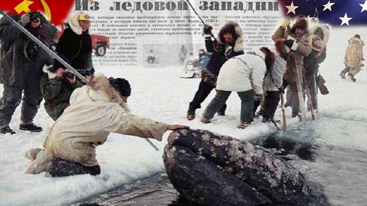 Фото с просторов интернета