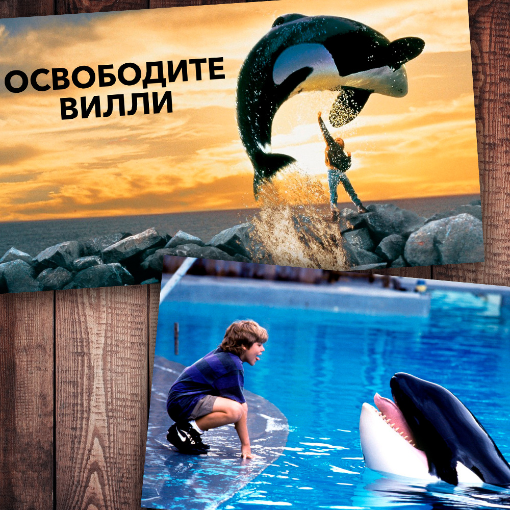 Фото с просторов интернета