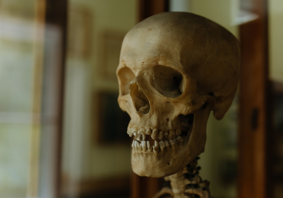    Shutterstock/FOTODOM