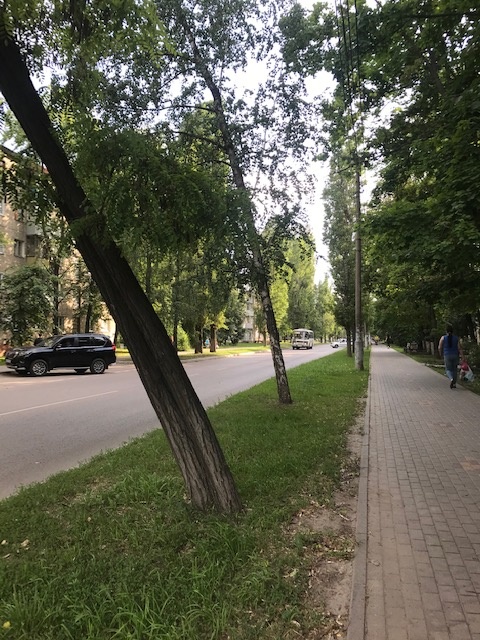 Фото 2020 года, можно ещё найти такие места...