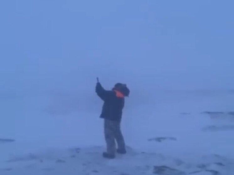     Фото: скриншот