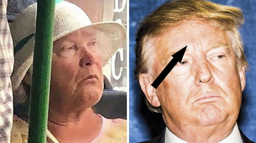    Вы встретили своего двойника – что дальше?