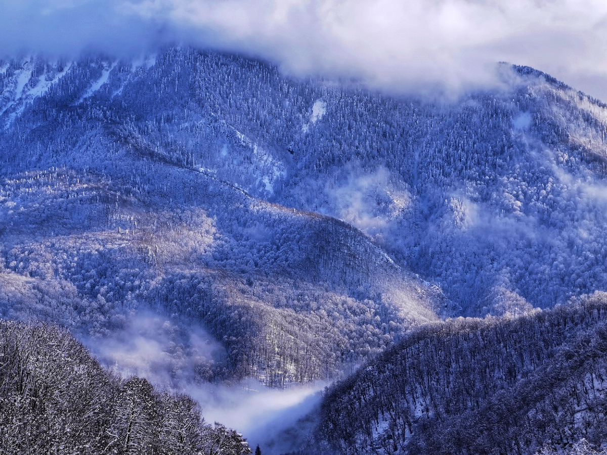 Таинственная красота долины..
