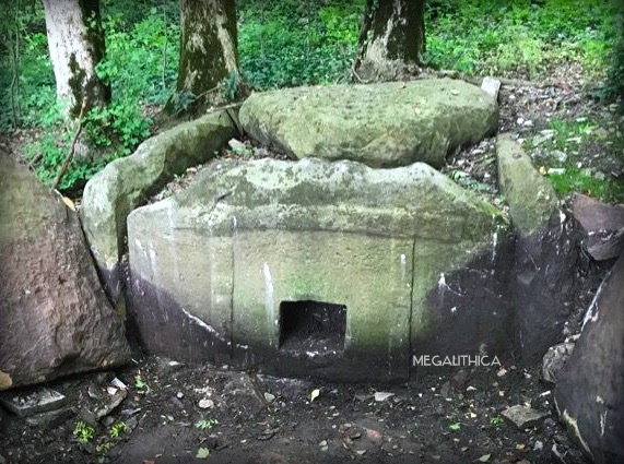 ЕДИНСТВЕННЫЙ В  КРАСНОДАРСКОМ КРАЕ НО НЕ ОДИНОК В МИРЕ