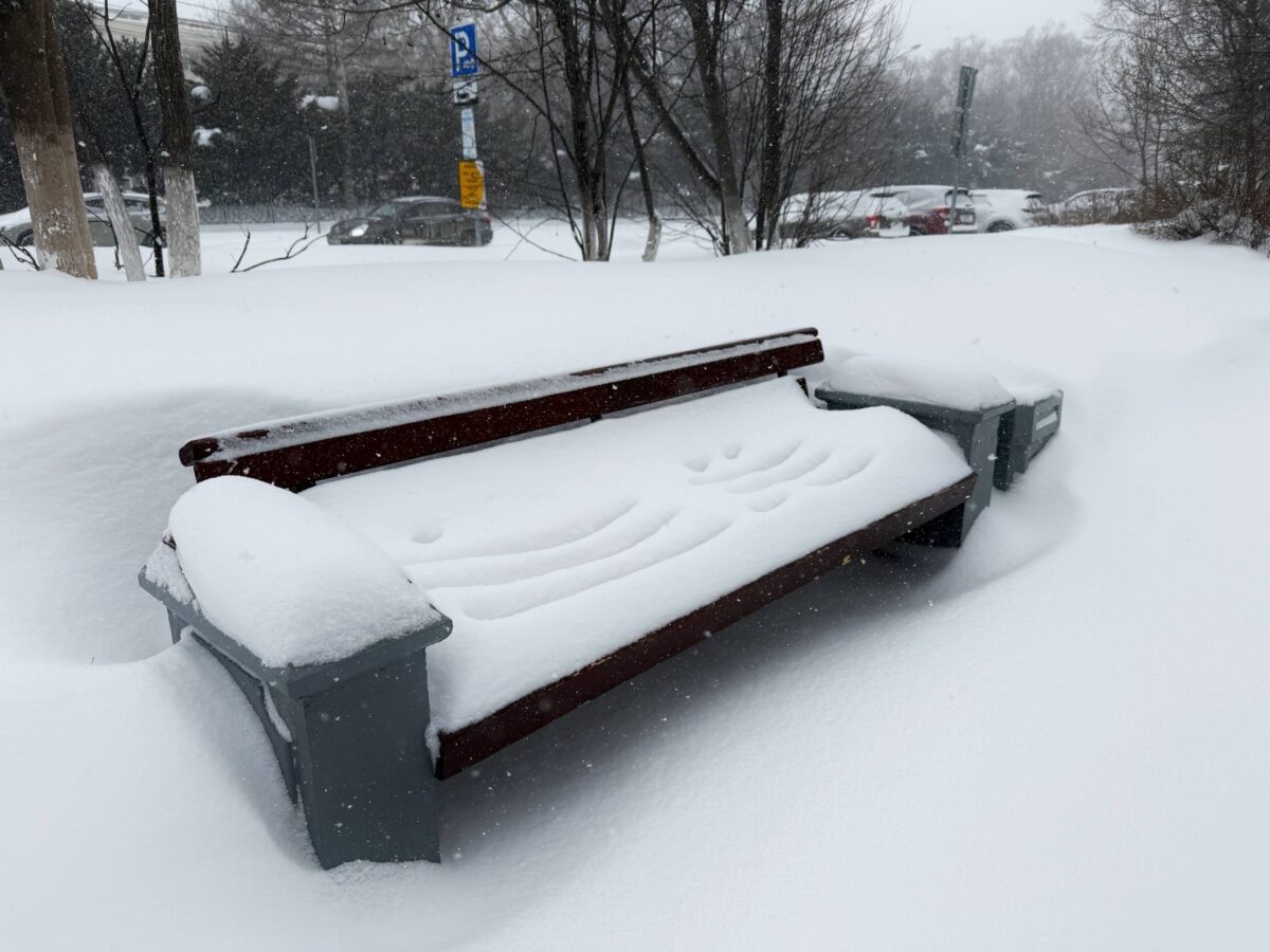    Метель, снег, погода, сахалин, Наталья Краснова