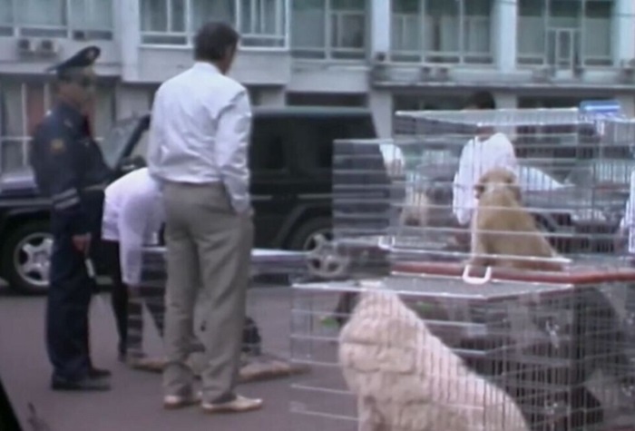 В тот день Абдулову пришлось серьезно понервничать