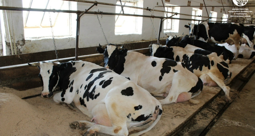    Фото Минсельхоза Коми