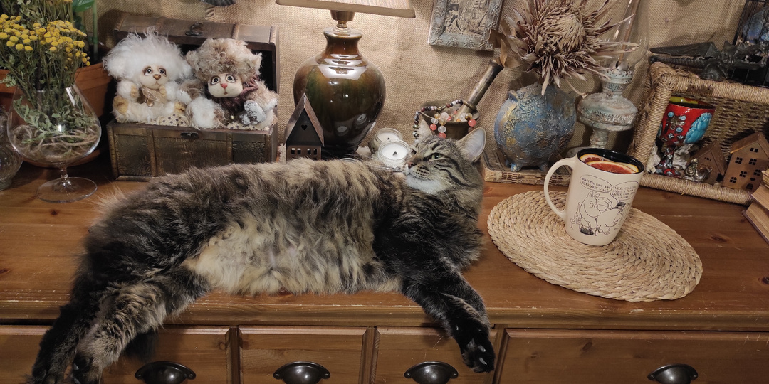 07.02.2026г. Затисканный Купер, обиженная Чушка и чай с ностальгией