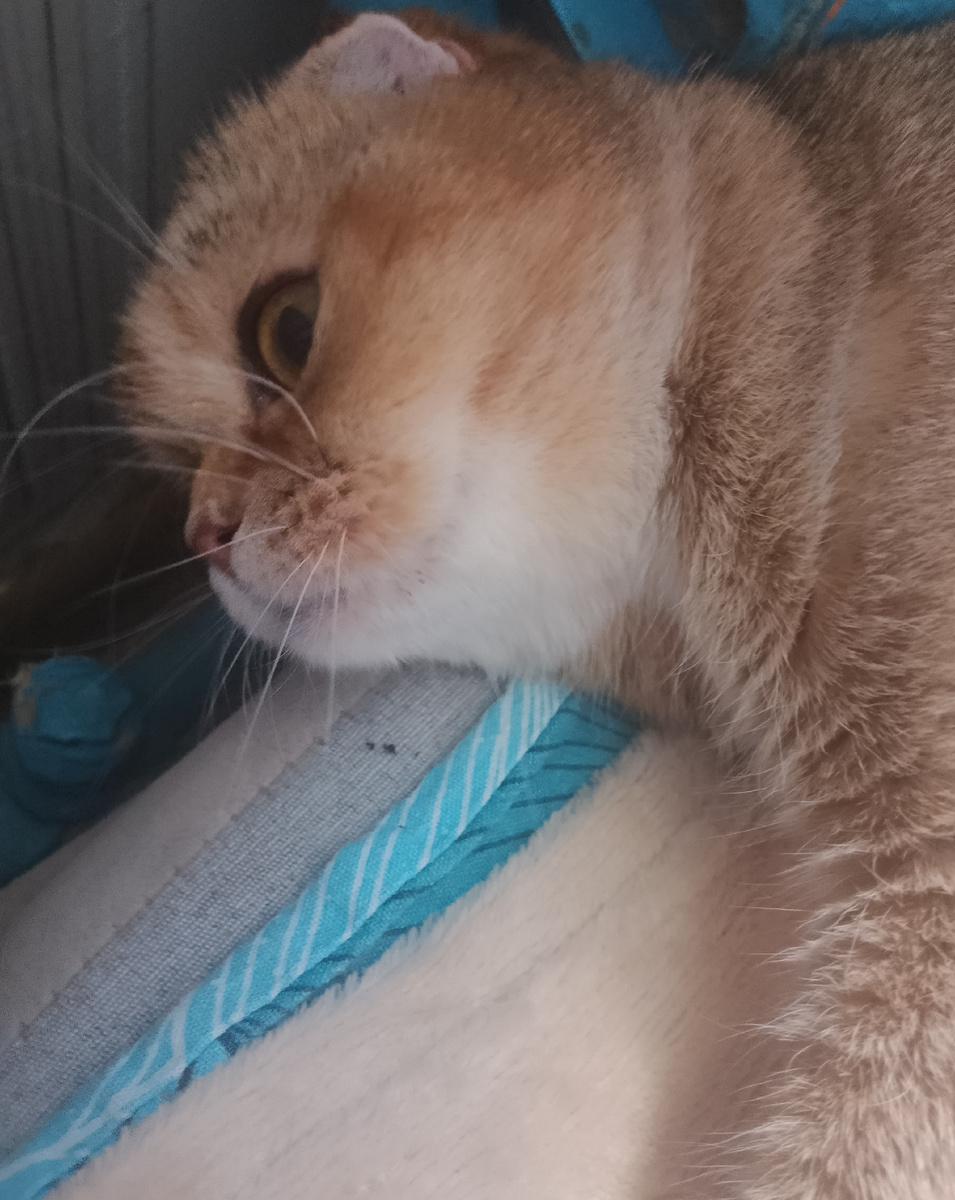 Наташ, здесь что-то стучит, прямо в батарее. Бабайка, наверное. Стра-ашно... 