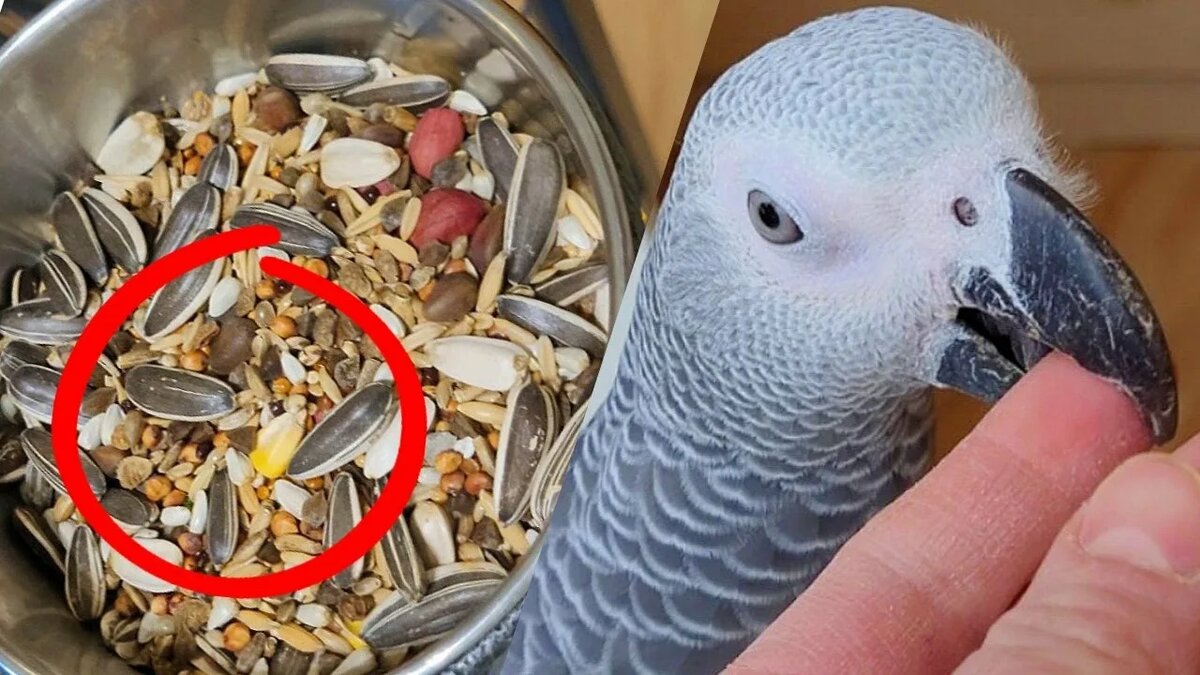 Фото взято из открытых источников в сети Интернет.