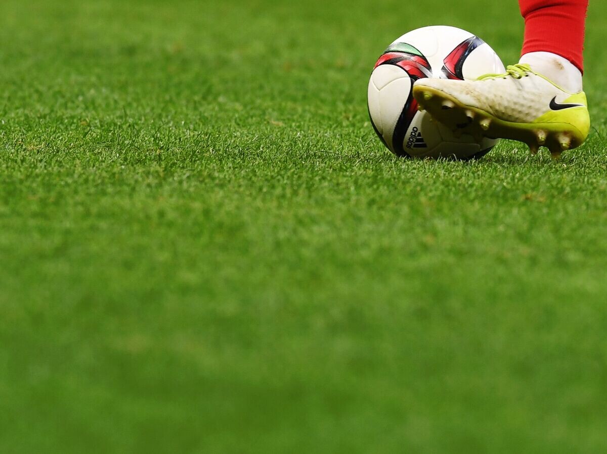    Футбол | © РИА Новости / Максим Богодвид