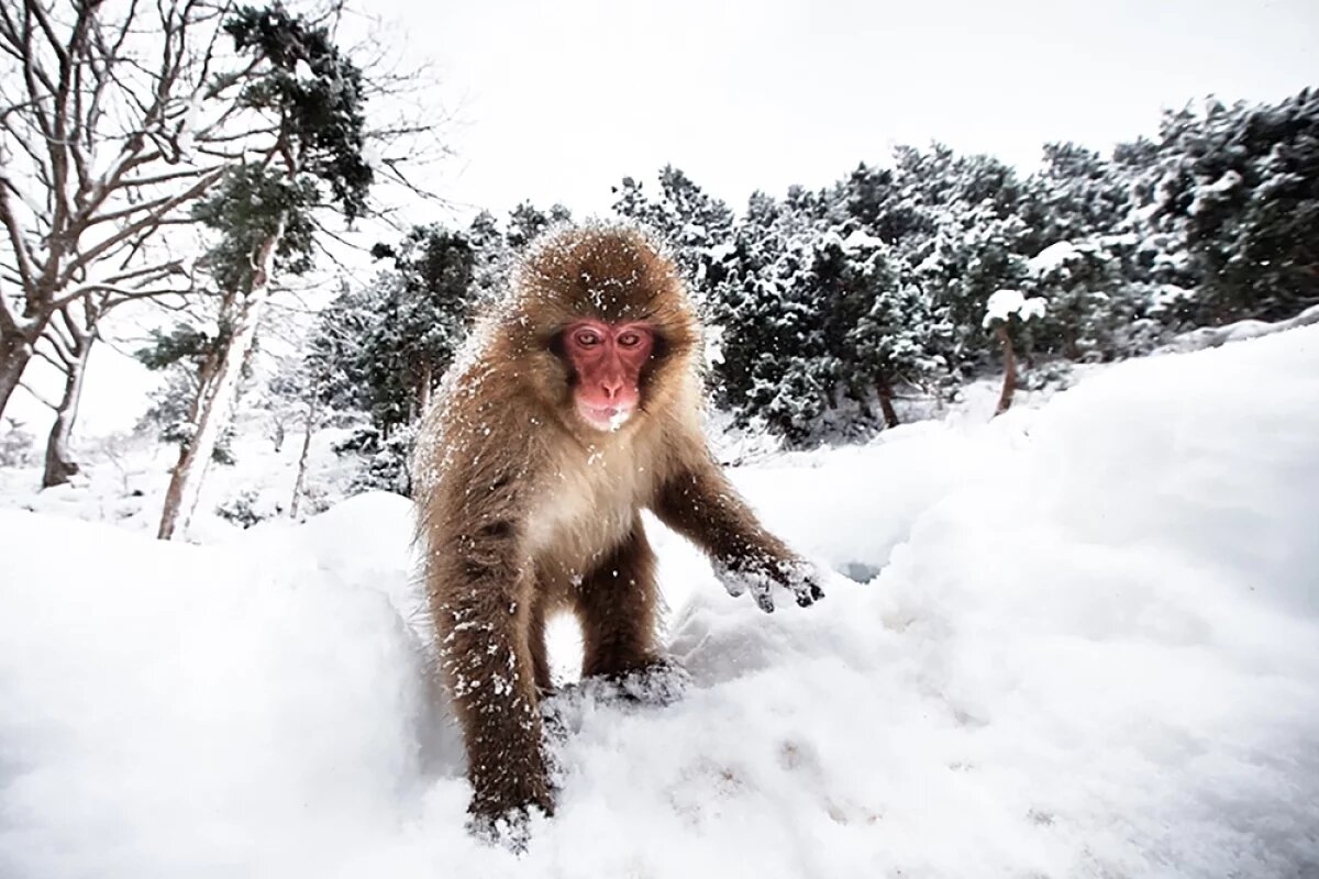   Спасительная «Адская долина».