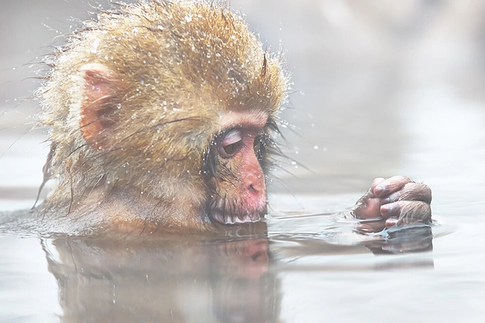    Открытие источников. Фото: Геннадий Юсин