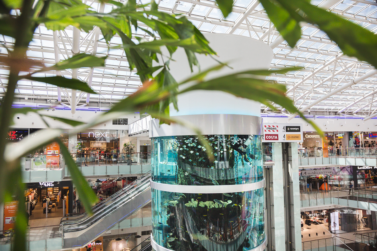 Источник: wikipedia.org Автор: Woctogen CC BY-SA 4.0