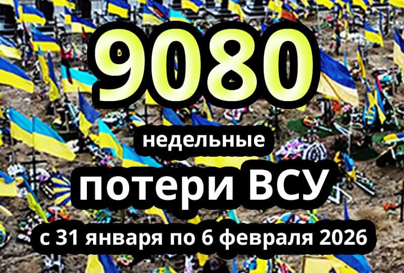    Недельные потери ВСУ