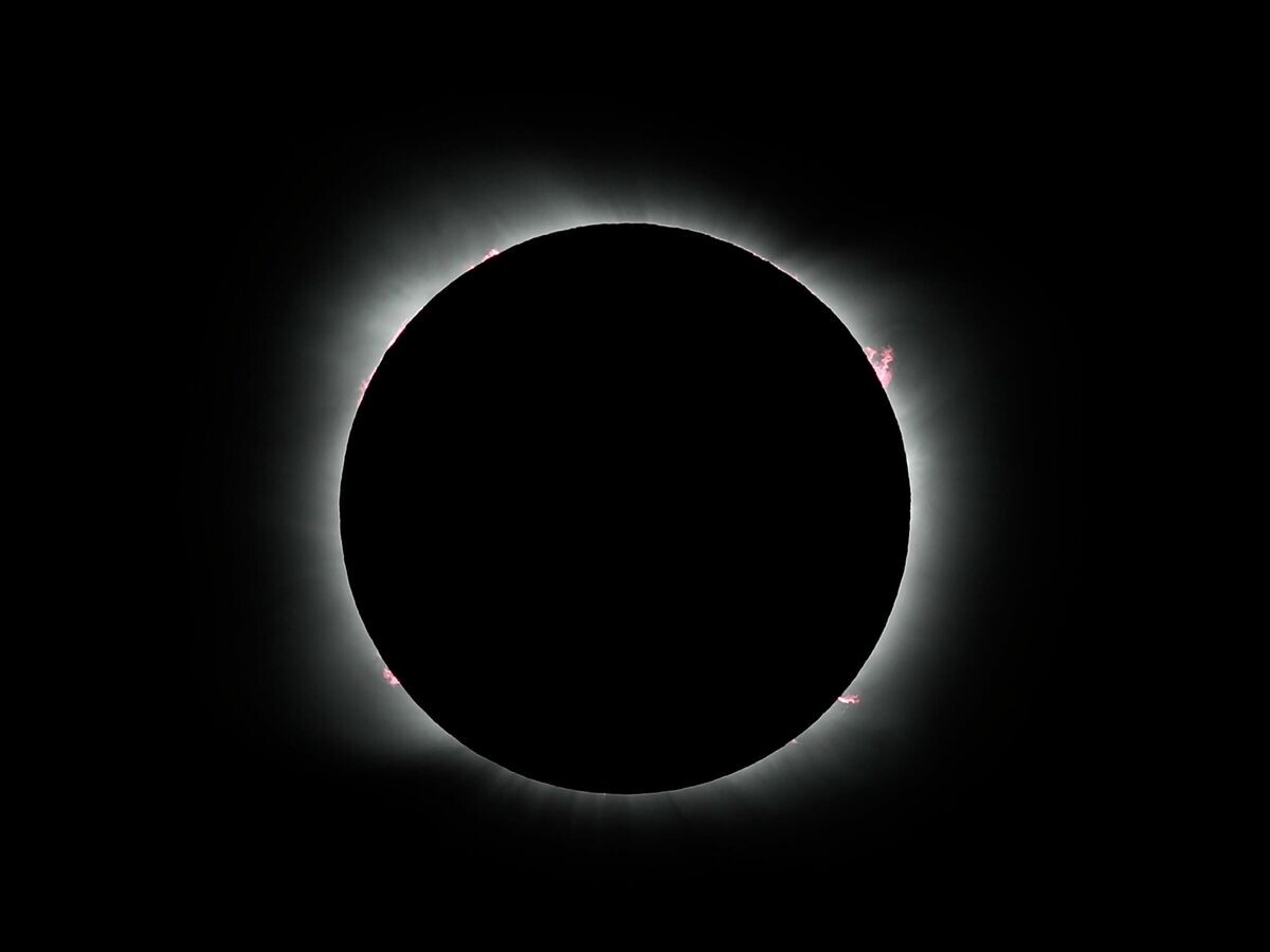    Солнечное затмение | © AP Photo / Natacha Pisarenko