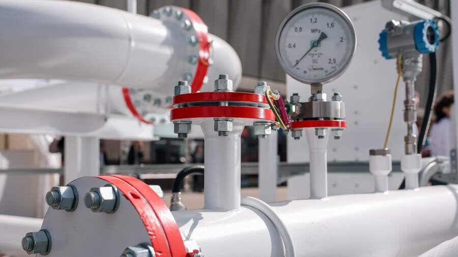    Фото: Global Look Press/Roman Naumov