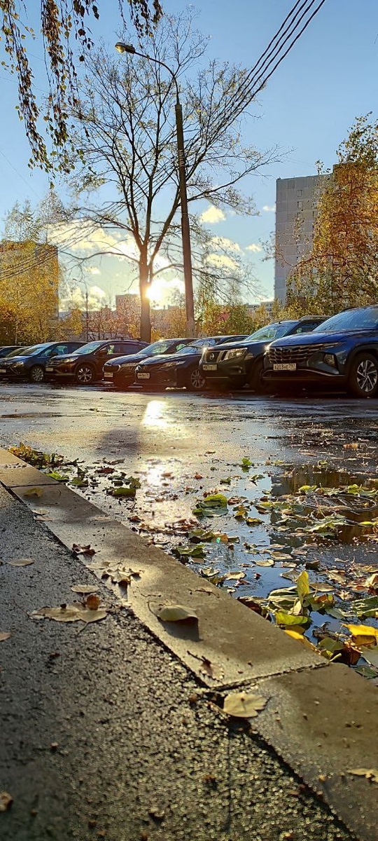 Для иллюстрации. Фото автора