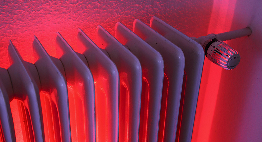    Jochen Tack/imageBROKER.com/Global Look Press