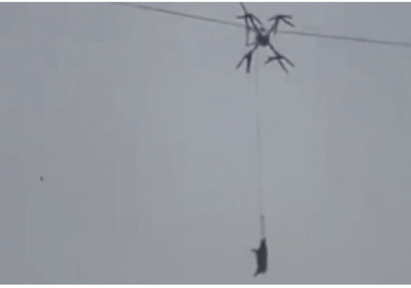 Скриншот из видеосюжета 