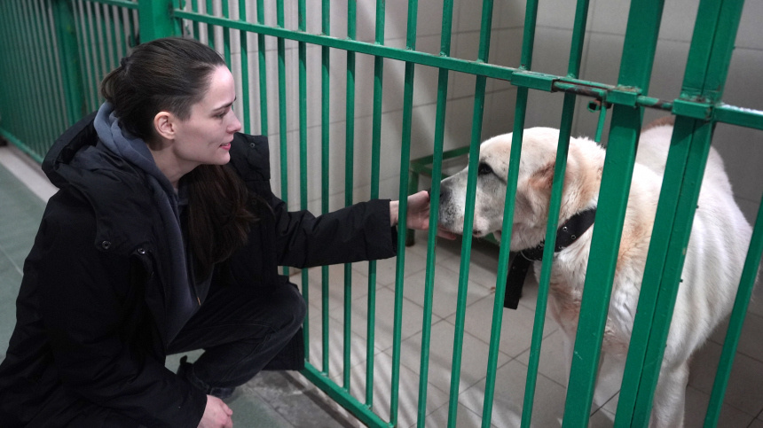    Фото: ИЗВЕСТИЯ/Павел Волков